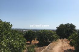 Terreno em Boliqueime